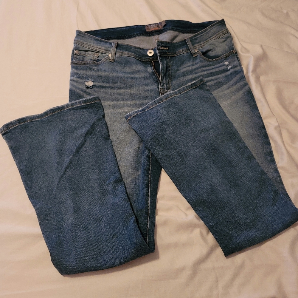 Torrid Jeans